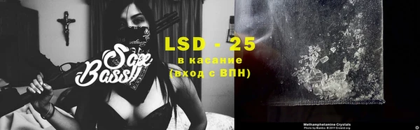 PSILOCYBIN Вязьма