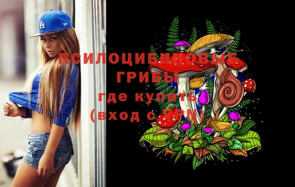 прущие крисы Вязники