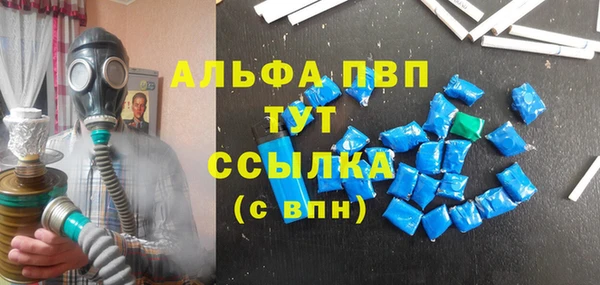 PSILOCYBIN Вязьма