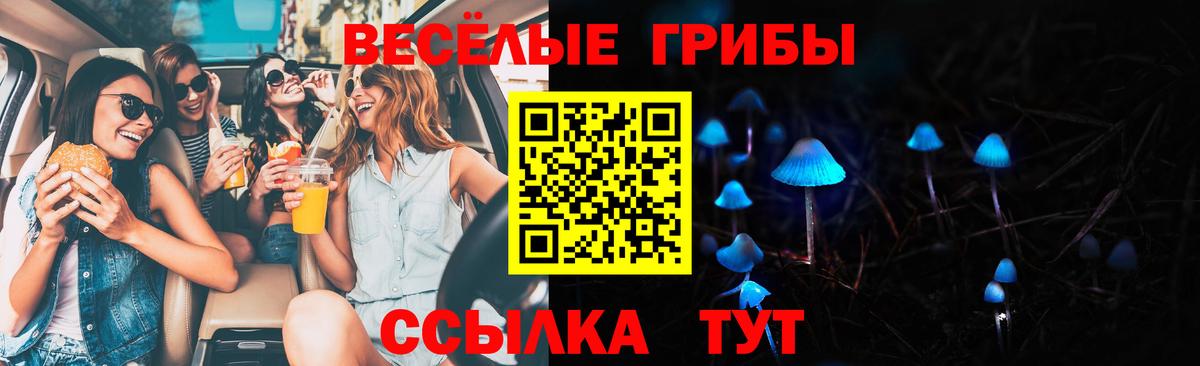 Псилоцибиновые грибы прущие грибы  сколько стоит  Архангельск  Вход с VPN  Галлюциногенные грибы мухоморы 